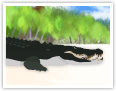 Das Salzwasser-Krokodil
