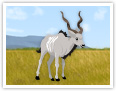 Der Große Kudu