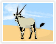Der Oryx