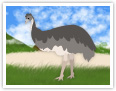 Das Emu