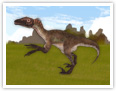 Der Velociraptor