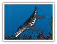 Der Liopleurodon