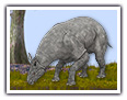 Das Paraceratherium
