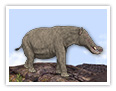 Das Platybelodon